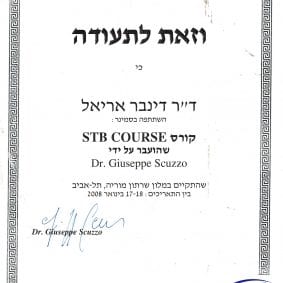 קורס סקוזו 2008